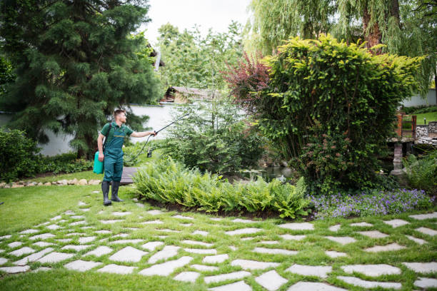 Best Affordable Pest Control Services  in Curtice, OH