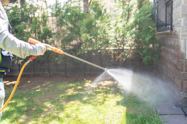 Professional Pest Control in Curtice, OH