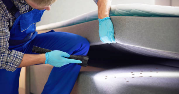Flea Control Services in Curtice, OH
